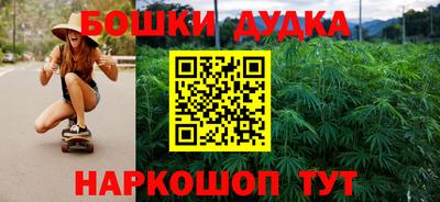 крисы Гай