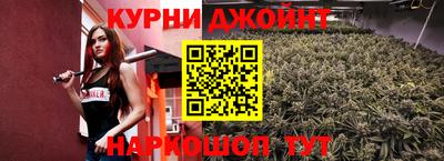 шишки Гатчина