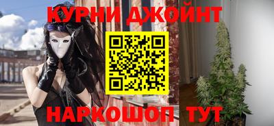 шишки Гатчина