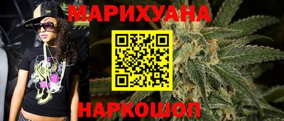 крисы Гай