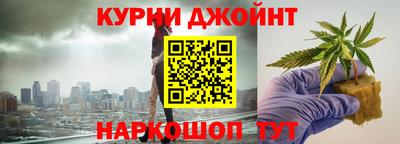 шишки Гатчина