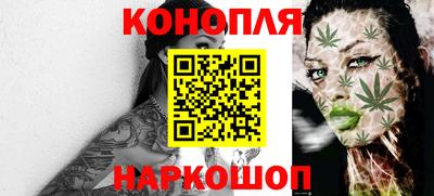 крисы Гай
