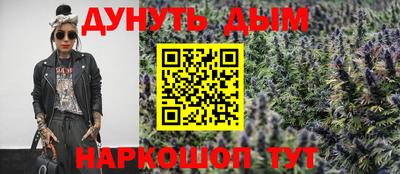 шишки Гатчина