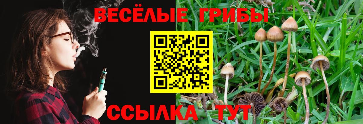 Горячий Ключ  Псилоцибиновые грибы мицелий  Вход с VPN 