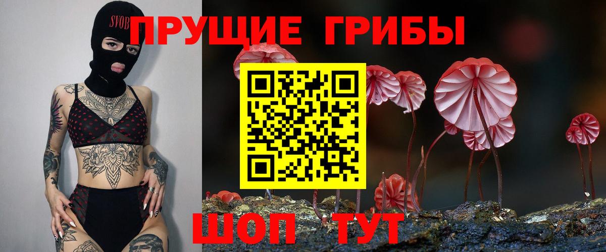 Псилоцибиновые грибы Cubensis Горячий Ключ